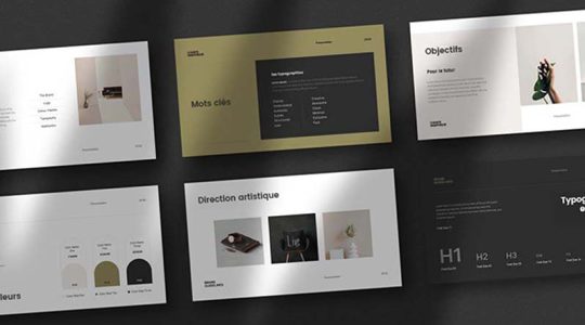 brand-img-ok-2